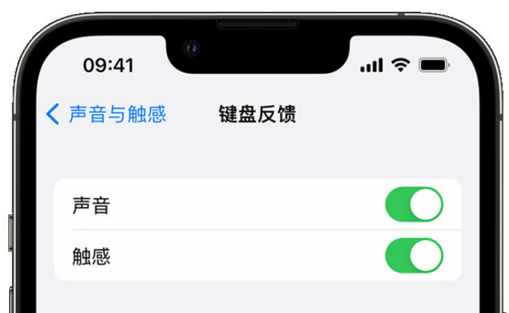 革吉苹果手机维修分享iPhone 14触感键盘使用方法 