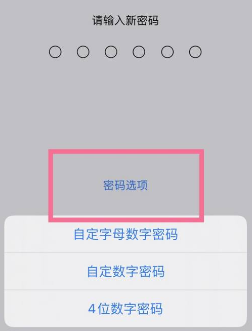 革吉苹果14维修分享iPhone 14plus设置密码的方法 