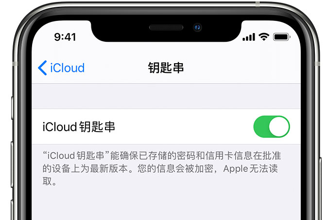 革吉苹果手机维修分享在 iPhone 上开启 iCloud 钥匙串之后会储存哪些信息 