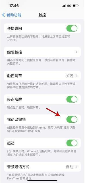 革吉苹果手机维修分享iPhone手机如何设置摇一摇删除文字 