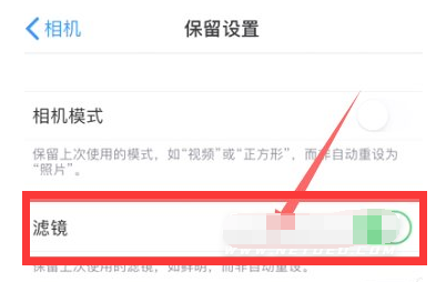 革吉苹果13维修分享iPhone13拍照有绿点是怎么回事 