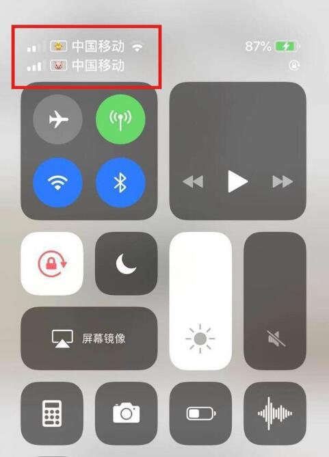 革吉苹果手机维修分享为 iPhone 12 双卡设置标签 